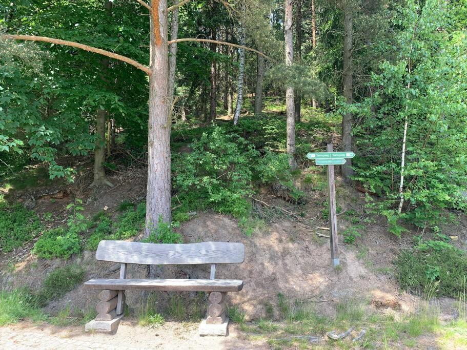 Waldferienhaus Dunja Mit Whirlpool, Sauna U Garten Hain  Экстерьер фото